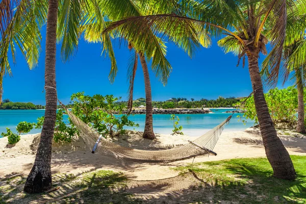 在白色的沙滩 在种植园岛 南太平洋上的棕榈树 — 图库照片