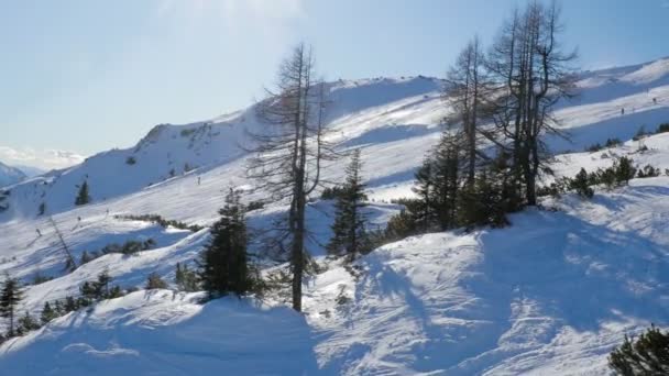 オーストリア シュタイリアのバート ミッテルドルフに近いタウプリッツ アルム冬 — ストック動画