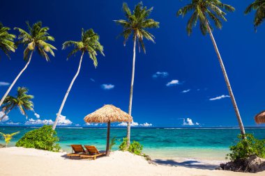 Vibrant tropical beach with palm trees, Upolu, Samoa. clipart