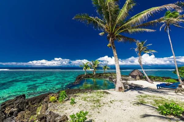 Vibrerande Tropisk Strand Med Palmer Upolu Samoa — Stockfoto