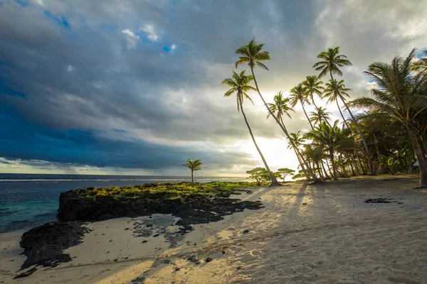Palmeiras Coco Praia Durante Nascer Sol Upolu Ilhas Samoa — Fotografia de Stock