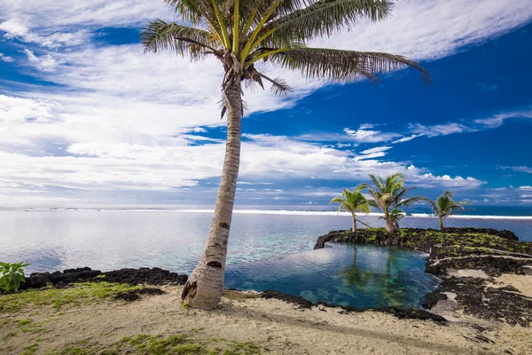 Praia Tropical Lado Sul Ilha Samoa Com Coqueiros — Fotografia de Stock