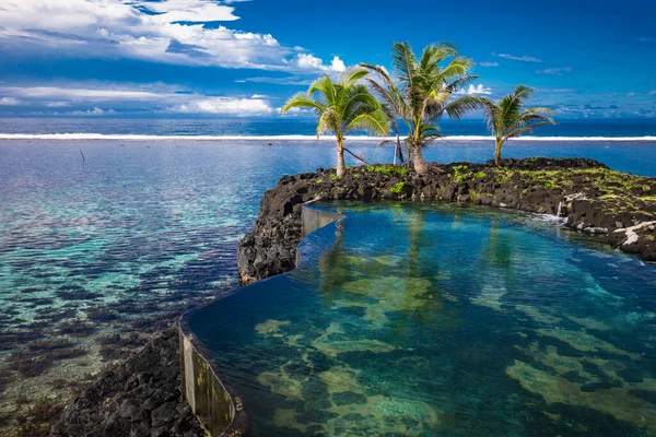 Vibrant Tropical Beach Palm Trees Upolu Samoa — Stock Photo, Image