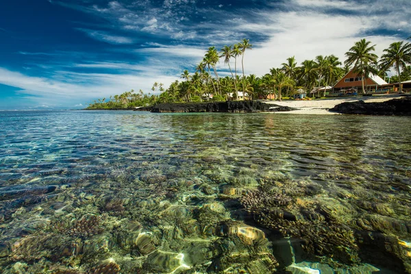 Plage Tropicale Sur Côté Sud Île Samoa Avec Cocotiers — Photo