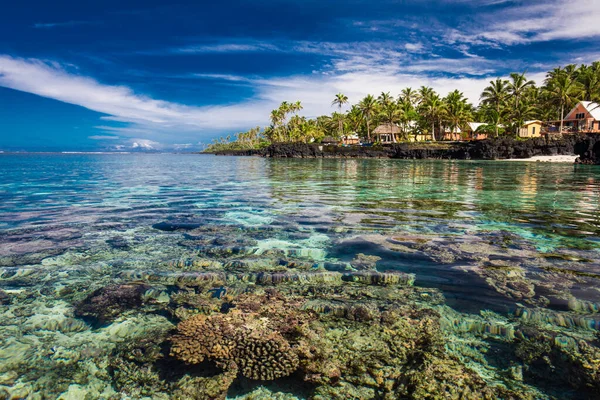 Lebendiger Tropischer Strand Mit Palmen Upolu Samoa — Stockfoto