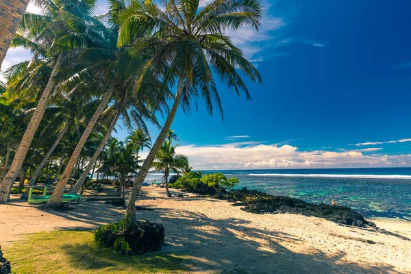 Playa Tropical Lado Sur Isla Samoa Con Palmeras Coco —  Fotos de Stock