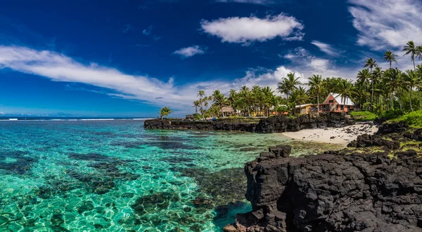 Trópusi Strand Samoa Sziget Déli Oldalán Kókuszpálmafákkal — Stock Fotó