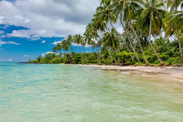 Spiaggia Tropicale Sul Lato Sud Dell Isola Samoa Con Palme — Foto Stock