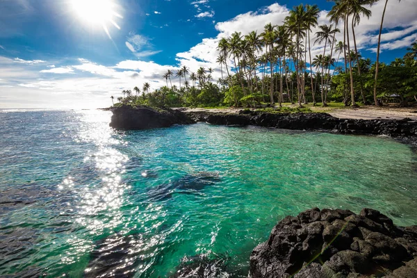 Lebendiger Tropischer Strand Mit Palmen Upolu Samoa — Stockfoto