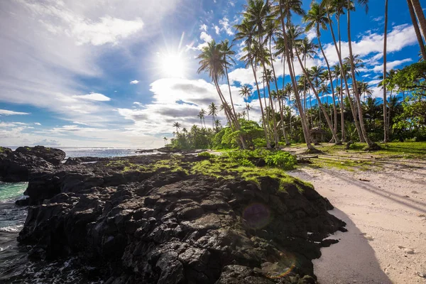 Тропічний Пляж Південному Боці Острова Самоа Кокосовими Пальмами — стокове фото