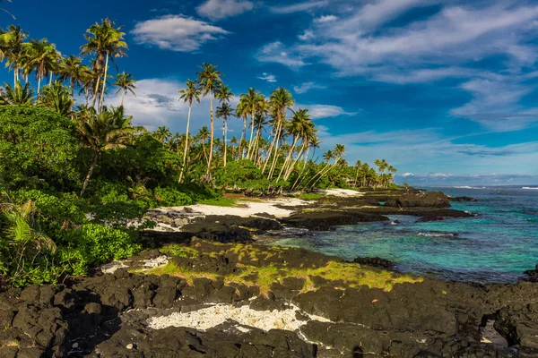 Samoa Adası Nın Güneyinde Hindistan Cevizi Palmiyeleri Olan Tropik Bir — Stok fotoğraf