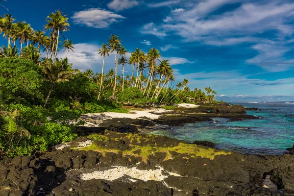 Tropisk Strand Södra Sidan Samoa Island Med Kokospalmer — Stockfoto