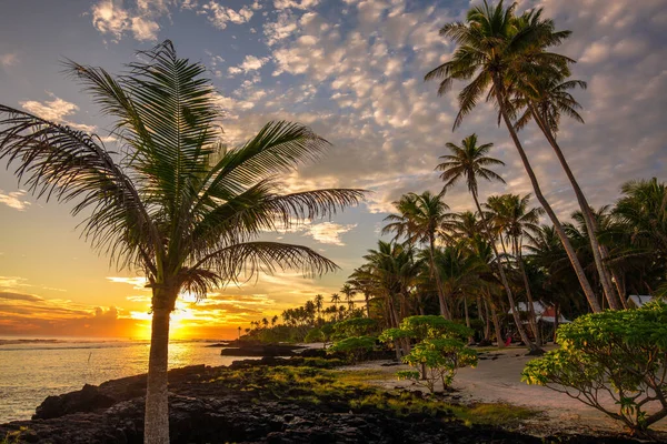 萨摩亚乌波卢日出期间海滩上的椰子树 — 图库照片