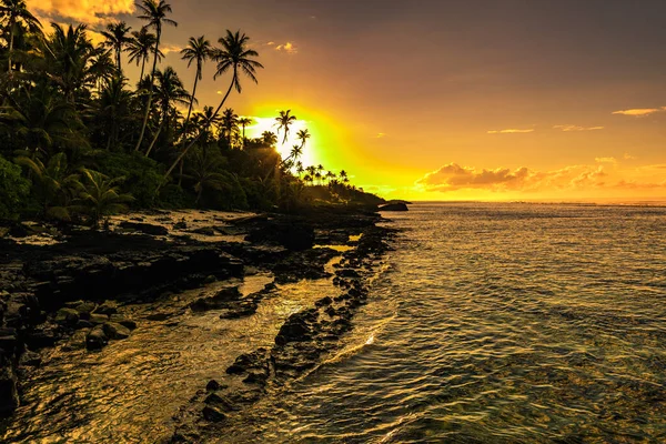 Palmeiras Coco Praia Durante Nascer Sol Upolu Ilhas Samoa — Fotografia de Stock