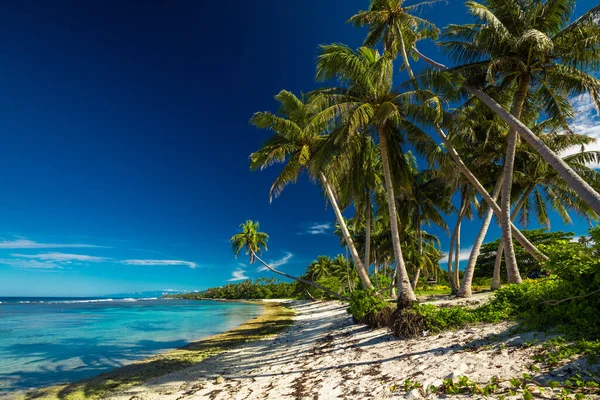 Tropischer Strand Auf Der Südseite Der Insel Samoa Mit Kokospalmen — Stockfoto