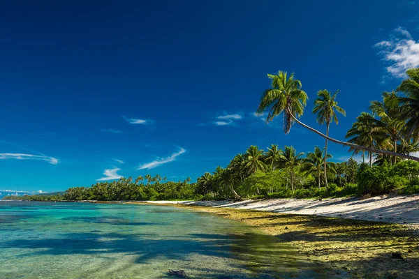 Тропический Пляж Южной Стороне Острова Самоа Кокосовыми Пальмами — стоковое фото
