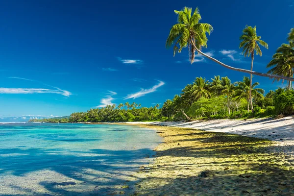 Tropisch Strand Aan Zuidkant Van Samoa Eiland Met Kokospalmen — Stockfoto