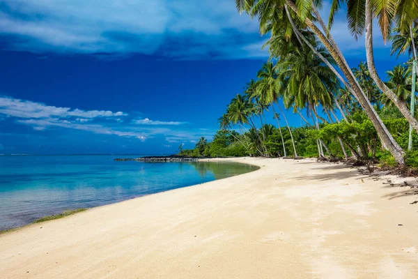 Trópusi Strand Samoa Sziget Déli Oldalán Kókuszpálmafákkal — Stock Fotó