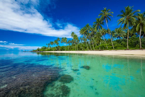 Tropisk Strand Södra Sidan Samoa Island Med Kokospalmer — Stockfoto