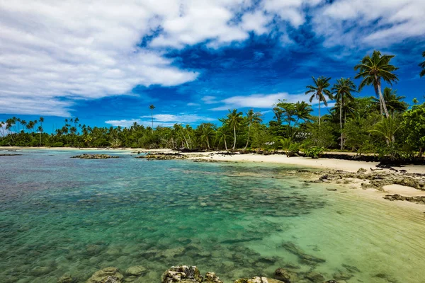 Trópusi Strand Samoa Sziget Déli Oldalán Kókuszpálmafákkal — Stock Fotó