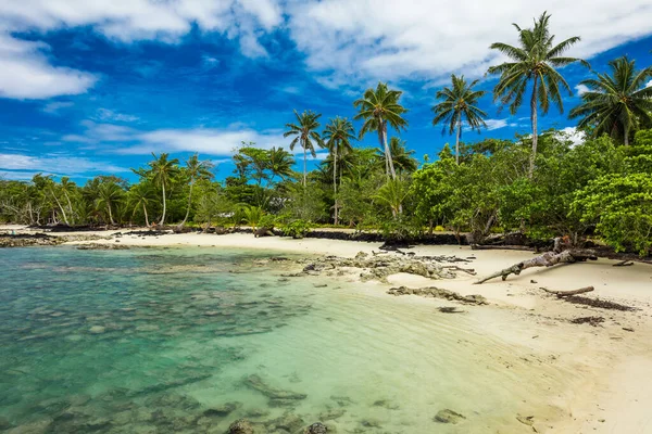 Tropischer Strand Auf Der Südseite Der Insel Samoa Mit Kokospalmen — Stockfoto