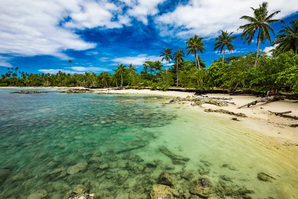 Plage Tropicale Sur Côté Sud Île Samoa Avec Cocotiers — Photo