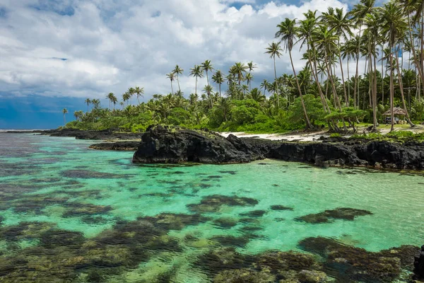 Tropisch Strand Aan Zuidkant Van Samoa Eiland Met Kokospalmen — Stockfoto