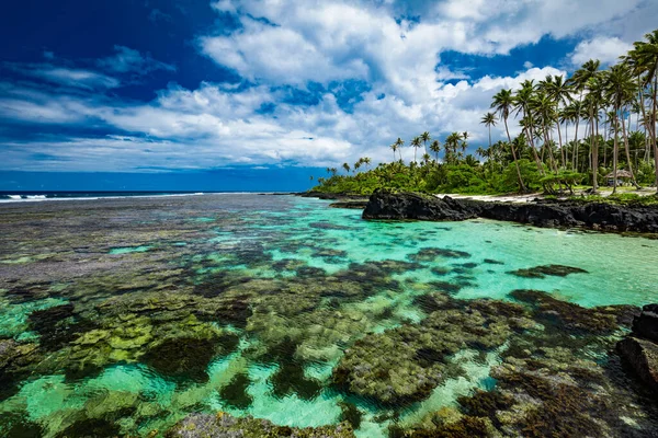 Vibráló Trópusi Strand Pálmafákkal Upolu Samoa — Stock Fotó