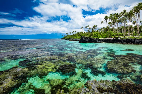 Pulzující Tropická Pláž Palmami Upolu Samoa — Stock fotografie