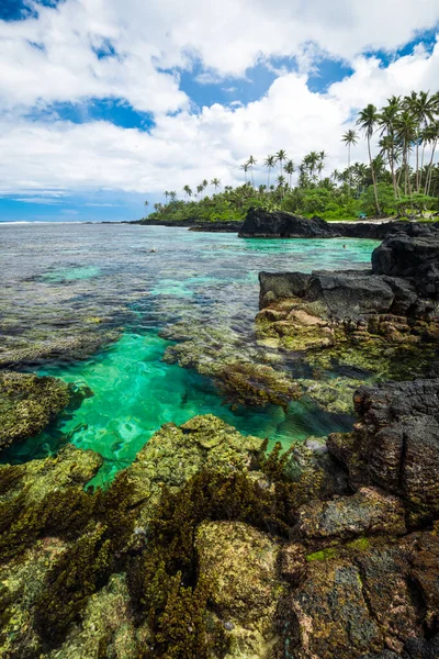 Vibrerande Tropisk Strand Med Palmer Upolu Samoa — Stockfoto