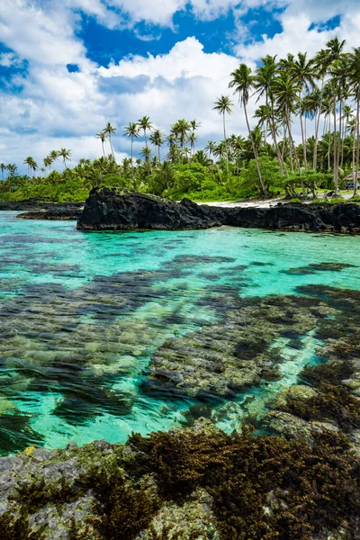 Trópusi Strand Samoa Sziget Déli Oldalán Kókuszpálmafákkal — Stock Fotó