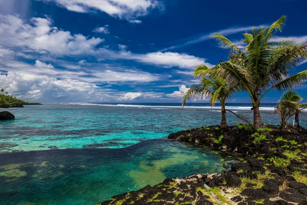 Praia Tropical Vibrante Com Palmeiras Upolu Samoa — Fotografia de Stock