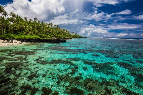 Tropisch Strand Aan Zuidkant Van Samoa Eiland Met Kokospalmen — Stockfoto