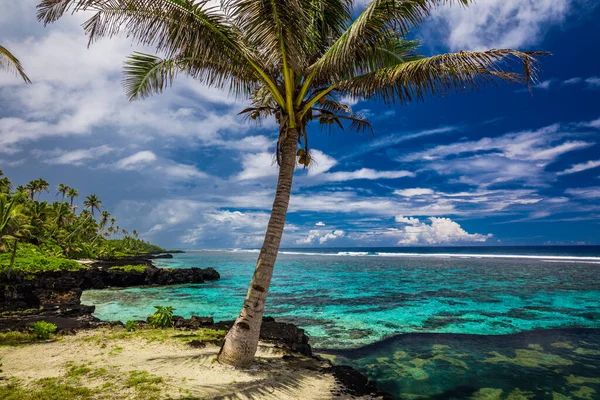 Tropikalna Plaża Południowej Stronie Wyspy Samoa Palmami Kokosowymi — Zdjęcie stockowe