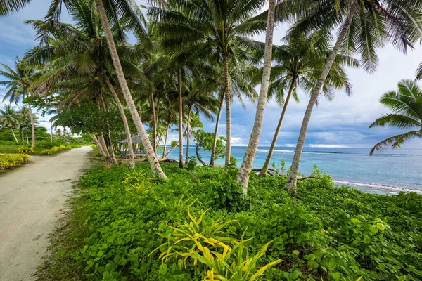 萨摩亚岛南部的热带海滩 有椰子树 — 图库照片