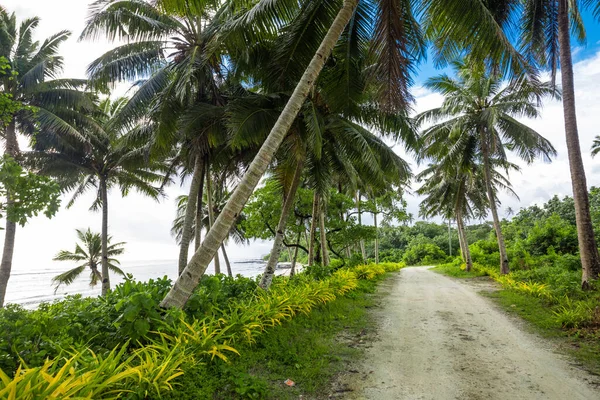 Praia Tropical Lado Sul Ilha Samoa Com Coqueiros — Fotografia de Stock