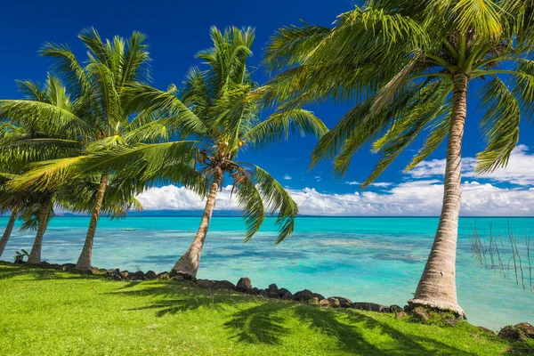 Tropischer Strand Auf Der Südseite Der Insel Samoa Mit Kokospalmen — Stockfoto