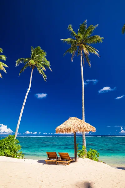 具有棕榈树的充满活力的热带海滩 萨摩亚乌波卢 — 图库照片