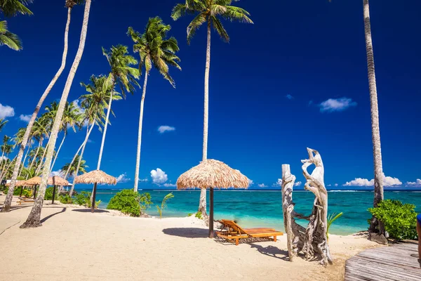 Praia Tropical Vibrante Com Palmeiras Upolu Samoa — Fotografia de Stock