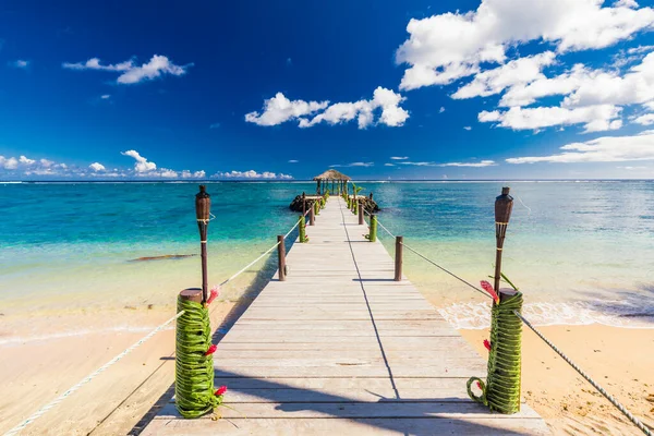Levendig Tropisch Strand Met Palmbomen Upolu Samoa — Stockfoto