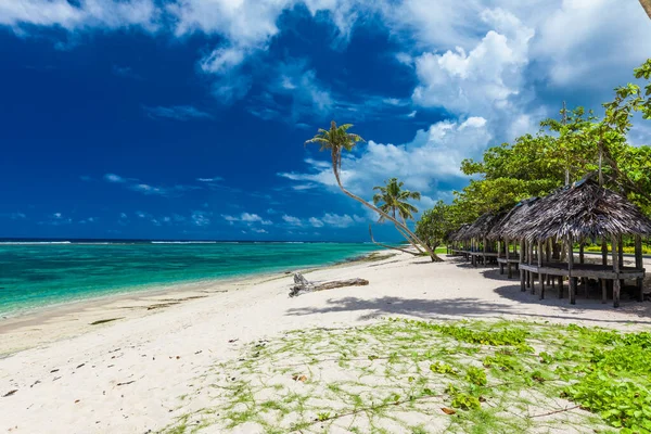 Τροπική Παραλία Στη Νότια Πλευρά Του Νησιού Σαμόα Φοίνικες Καρύδας — Φωτογραφία Αρχείου