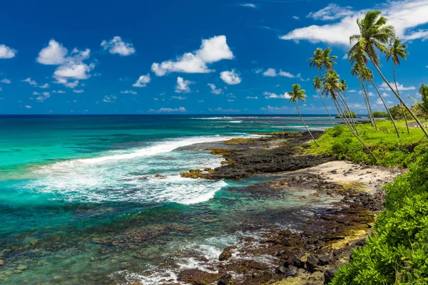 Tropischer Strand Auf Der Südseite Der Insel Samoa Mit Kokospalmen — Stockfoto