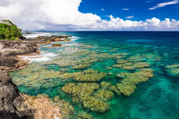 Żywa Plaża Tropikalna Palmami Upolu Samoa — Zdjęcie stockowe