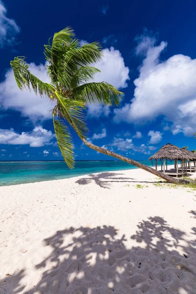 Lalomanu Plajı Fales Denilen Açık Kulübeleri Upolu Adası Nın Güney — Stok fotoğraf
