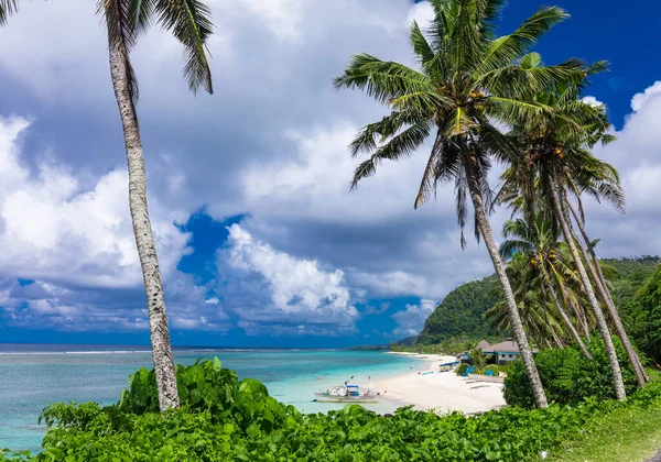 Playa Tropical Lado Sur Isla Samoa Con Palmeras Coco —  Fotos de Stock