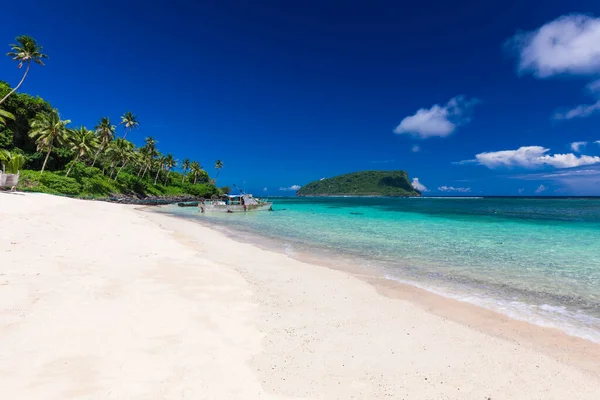 Pulzující Tropická Pláž Palmami Upolu Samoa — Stock fotografie