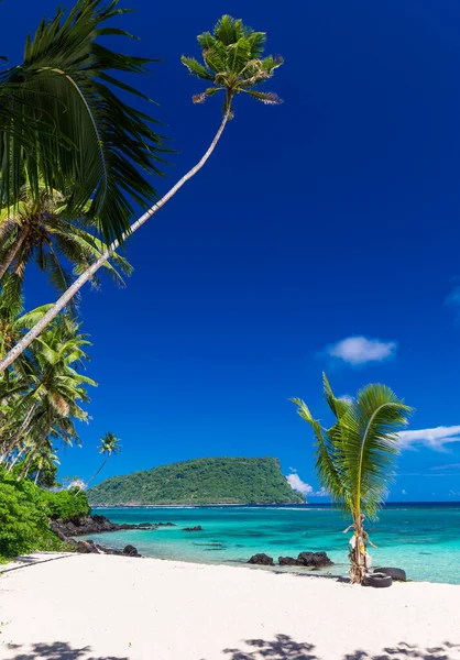 Plage Tropicale Sur Côté Sud Île Samoa Avec Cocotiers — Photo