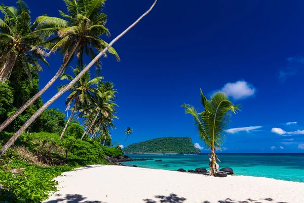 Plage Tropicale Sur Côté Sud Île Samoa Avec Cocotiers — Photo