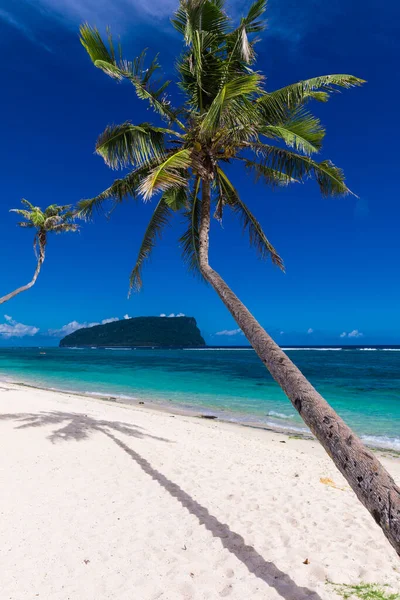 Praia Tropical Lado Sul Ilha Samoa Com Coqueiros — Fotografia de Stock