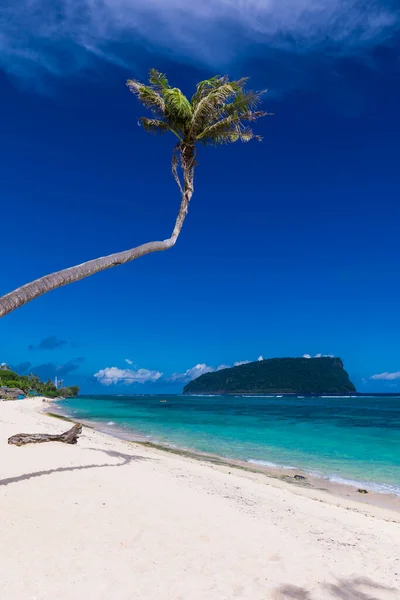 Playa Tropical Lado Sur Isla Samoa Con Palmeras Coco — Foto de Stock